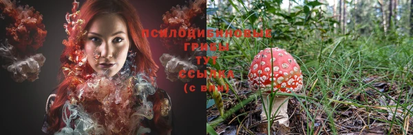 mix Няндома