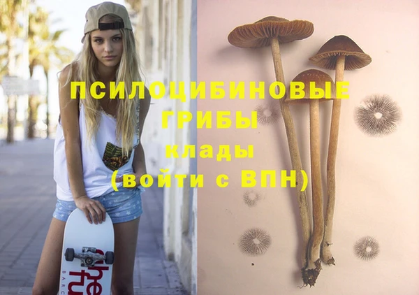 mix Няндома