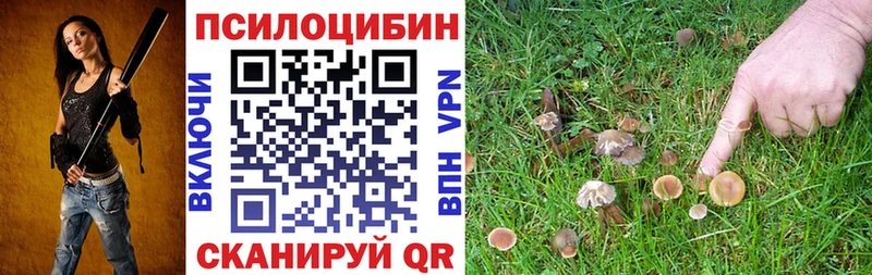 купить наркоту Симферополь Галлюциногенные грибы Cubensis