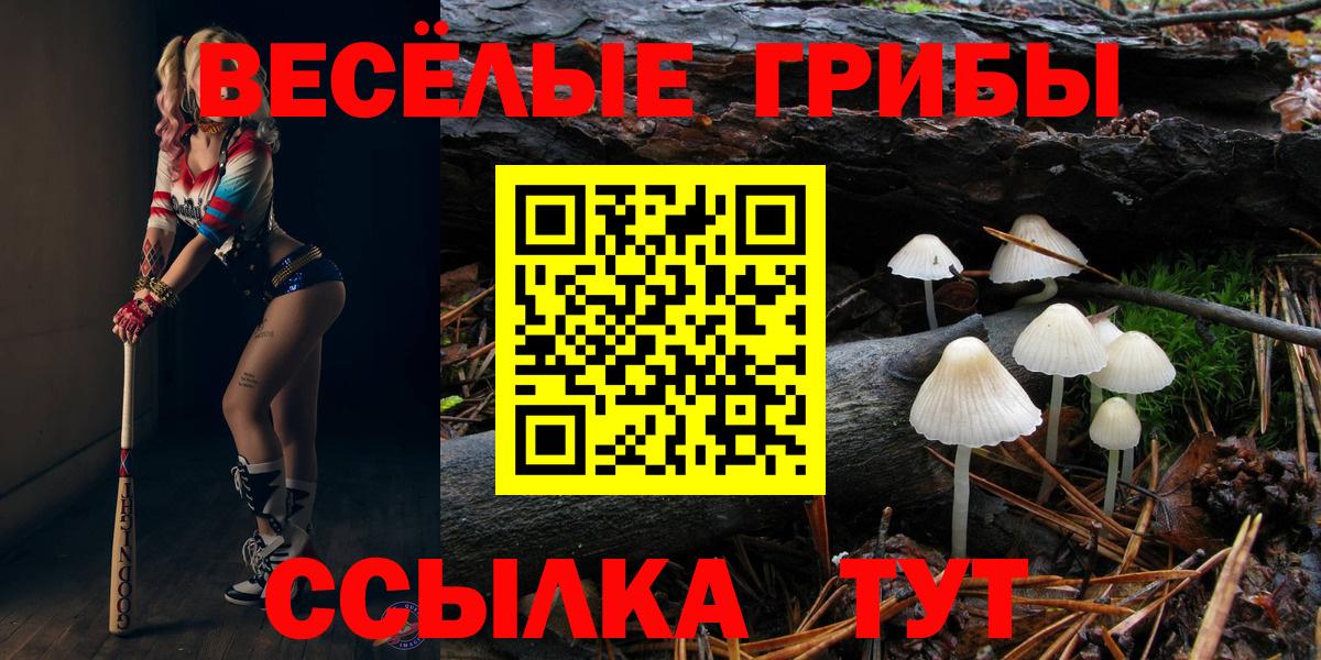 Галлюциногенные грибы MAGIC MUSHROOMS Симферополь